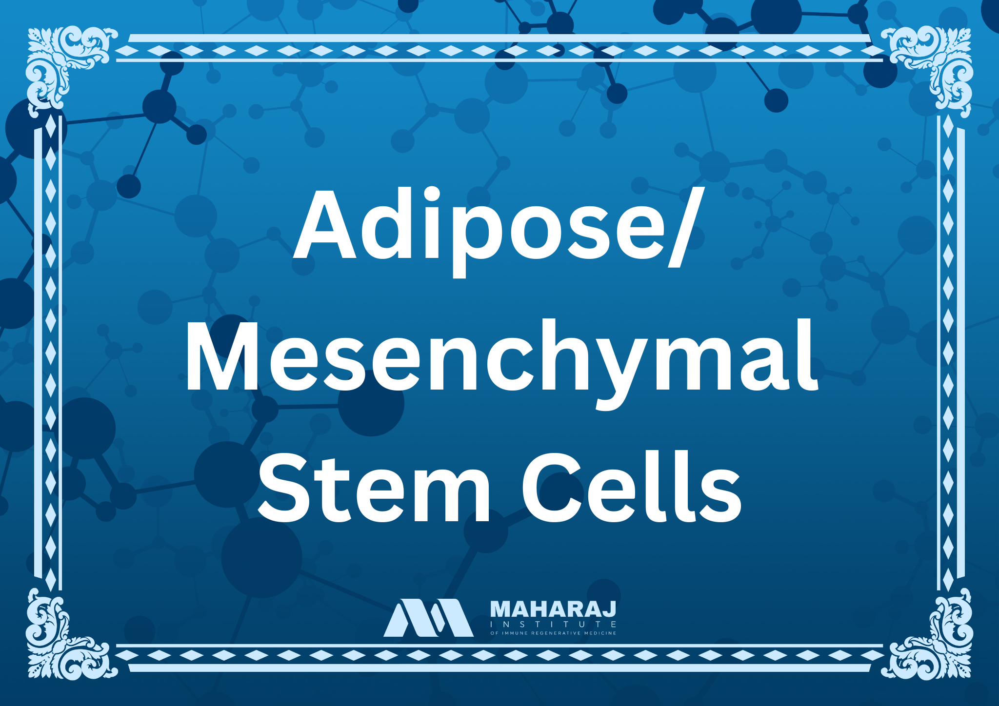 Adipose/Mesenchymal Stem Cells